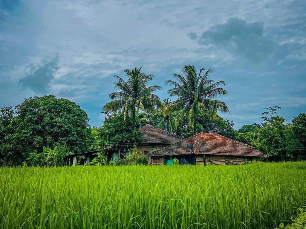 Villa &Amp; Commercial Plots For Sale Near Mopa Airport Goa At Satarda - Govind Vatika Villa & commercial plots for sale near mopa airport goa at satarda - govind vatika